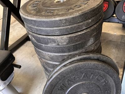 Wasatch Fitness Olympic Bumper Plates