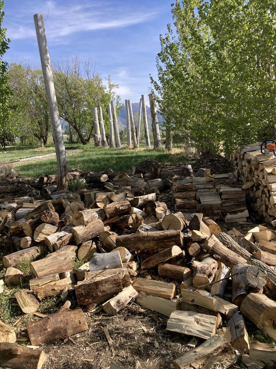 Firewood