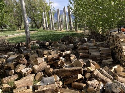 Firewood