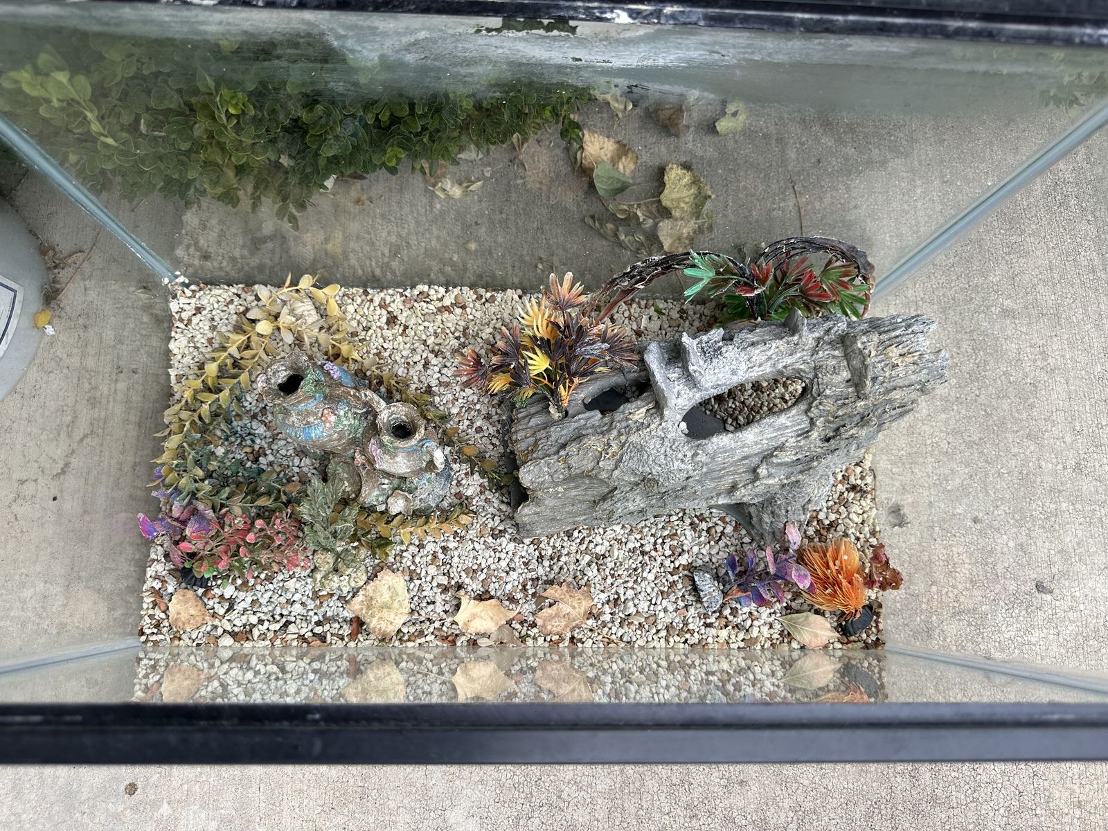 Main image 2