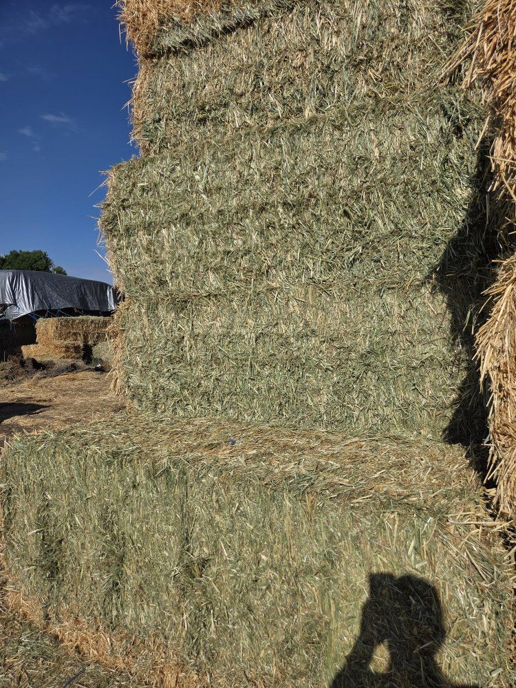 3 Way 3x3x8 - High Quality Feed for Livestock