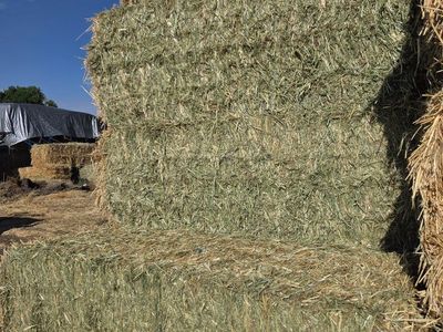 3 Way 3x3x8 - High Quality Feed for Livestock