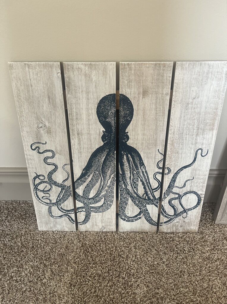 Octopus Pictures
