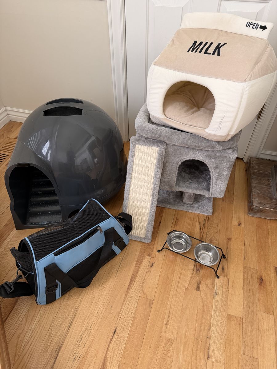 Kitten supplies