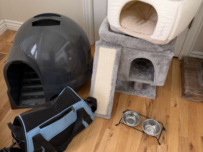 Kitten supplies