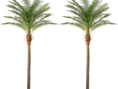 Artifical Palm Trees
