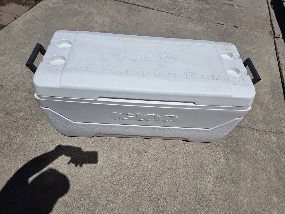 150 quart Igloo Max Cold Cooler