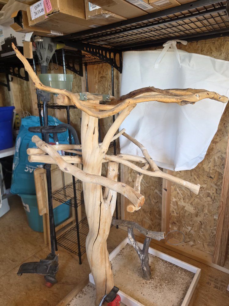 Large Natural Wood Bird Play Stand / Tree Perch