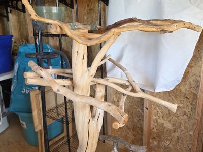 Large Natural Wood Bird Play Stand / Tree Perch