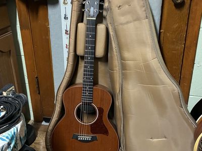 GSmini Taylor