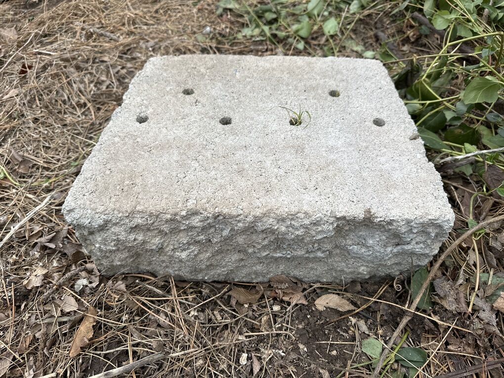 Free cement Blocks