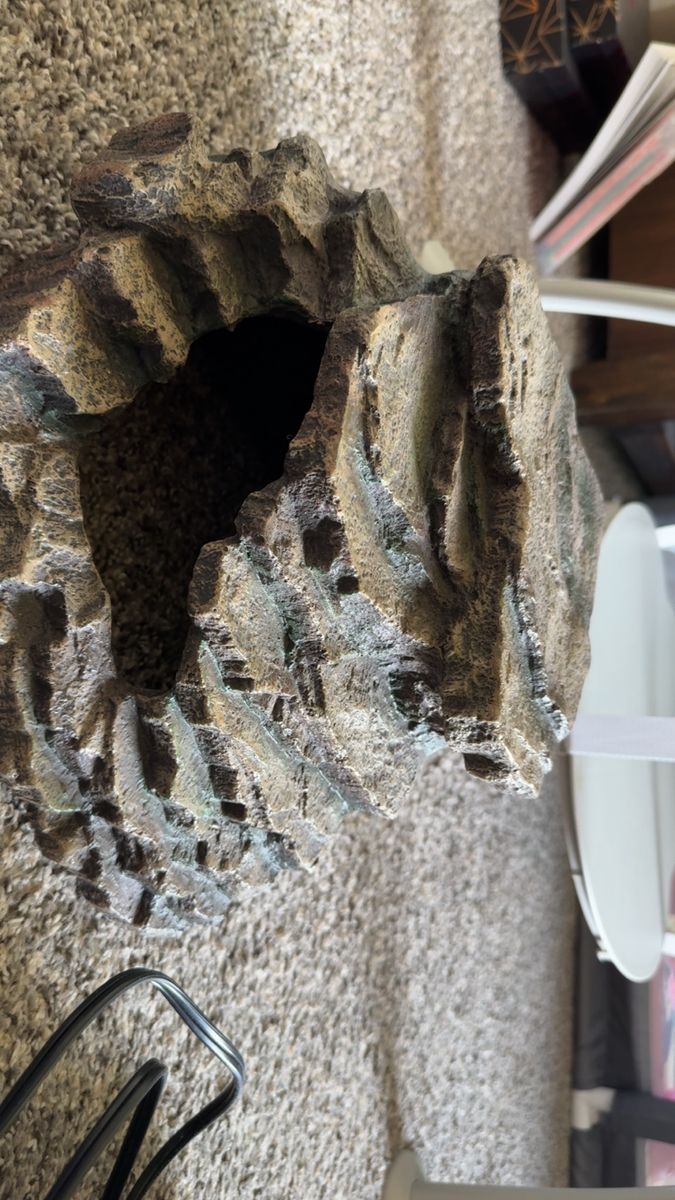 Reptile arch