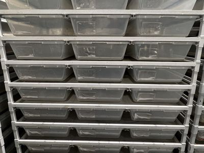 Freedom Breeder OG CB 70 Reptile Rack