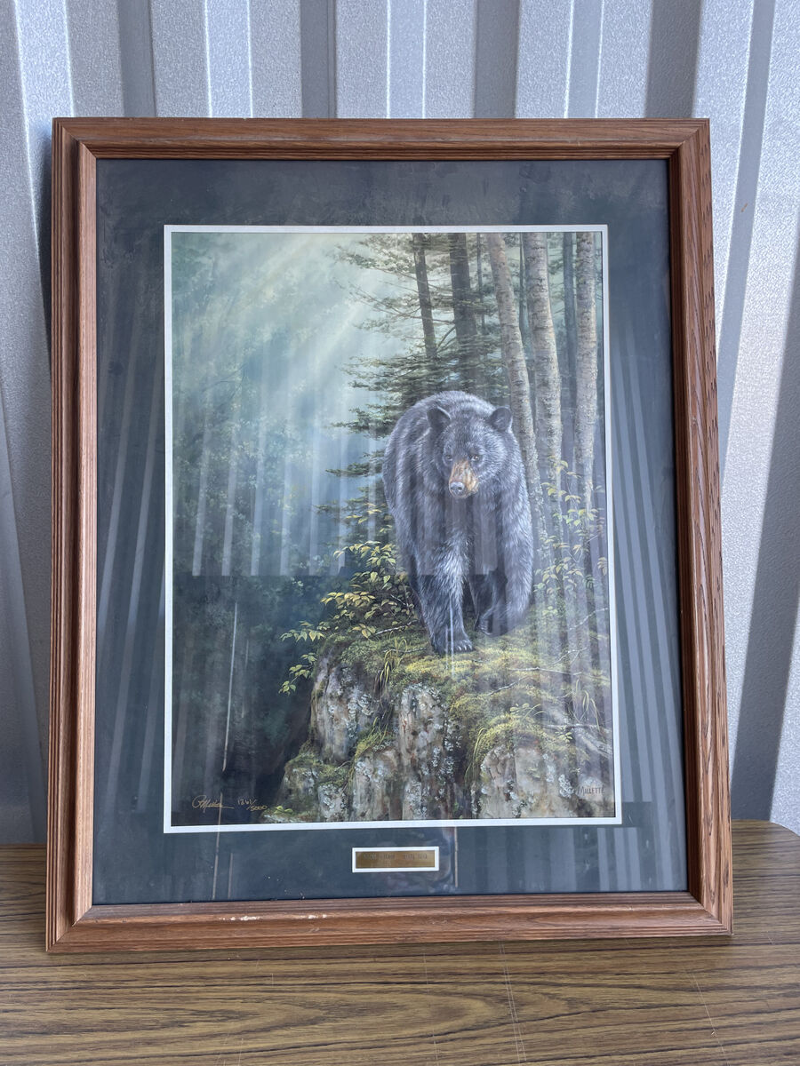 Rocky Outcrop - Black Bear by Rosemary Millette Signed And Number Art Print