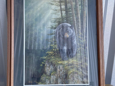 Rocky Outcrop - Black Bear by Rosemary Millette Signed And Number Art Print