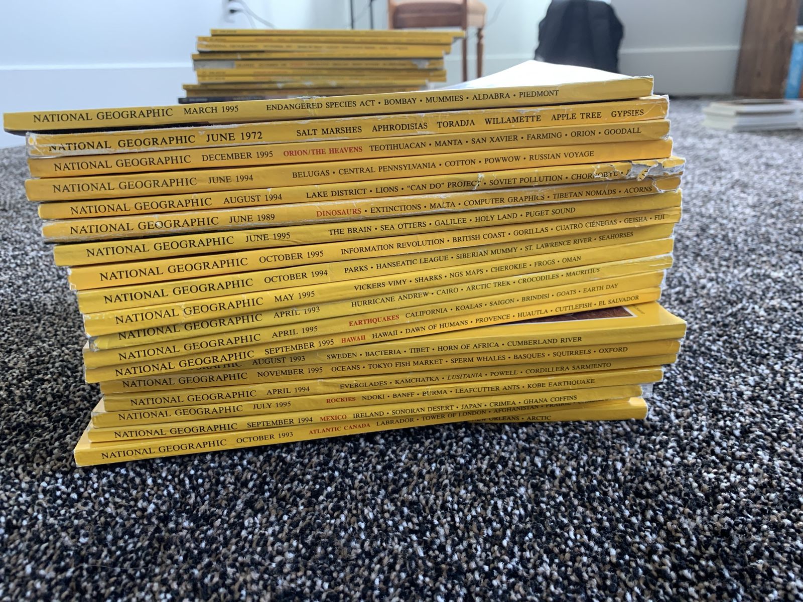Various National Geographic Magazines