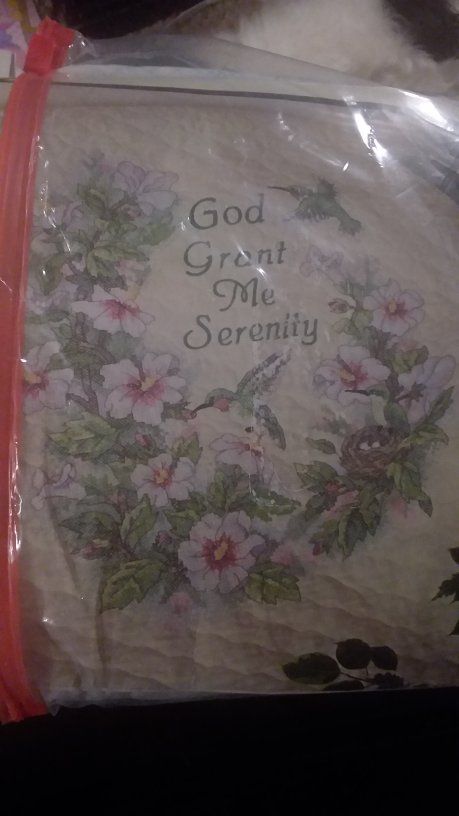 God Grant Me Serenity Hummingbird Floral Wreath Cross Stitch Kit New and complete...pre quilted blanket