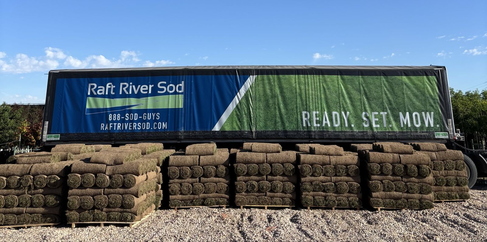 FRESH CUT SOD