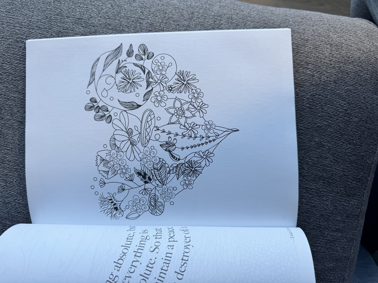 Main image 4