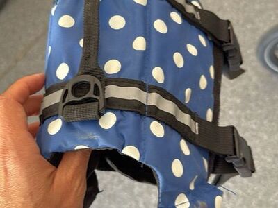 Dog Life Vest Size small
