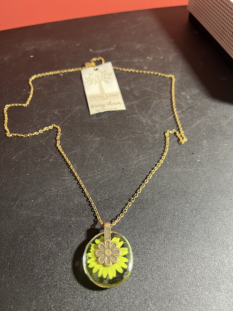 Petal Lane Daisy Chain Real Flower Jewelry Necklace Gold Tone Chain Pendant New