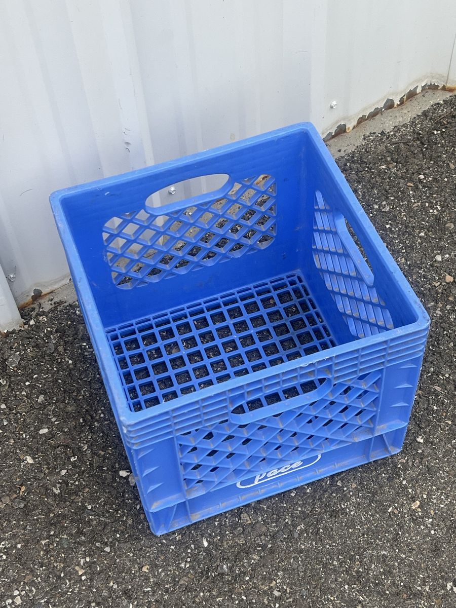 PACE Blue Plastic Milk Crate - Sturdy Storage Solution