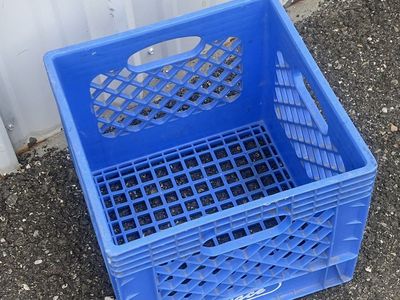 PACE Blue Plastic Milk Crate - Sturdy Storage Solution
