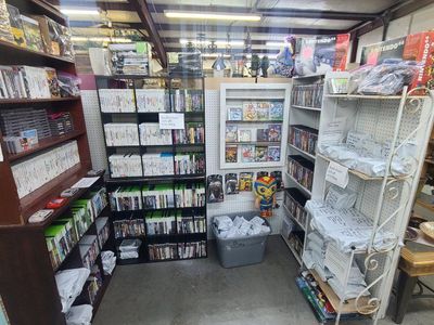 Nintendo Wii NES SNES N64 Playstation Xbox games and more