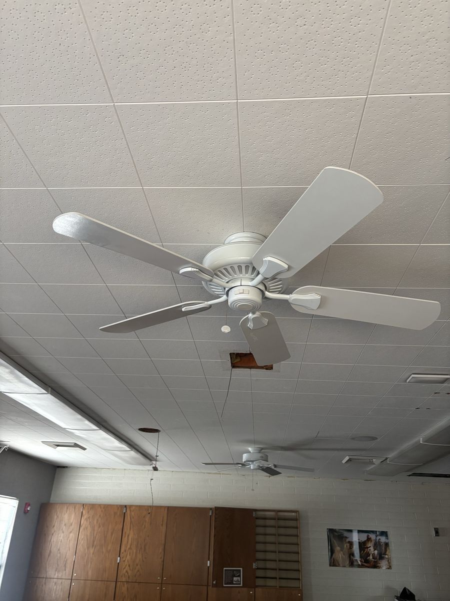 White Ceiling Fan ( FREE )