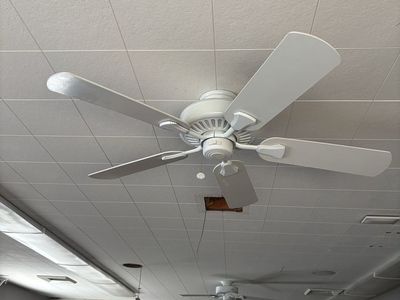 White Ceiling Fan ( FREE )
