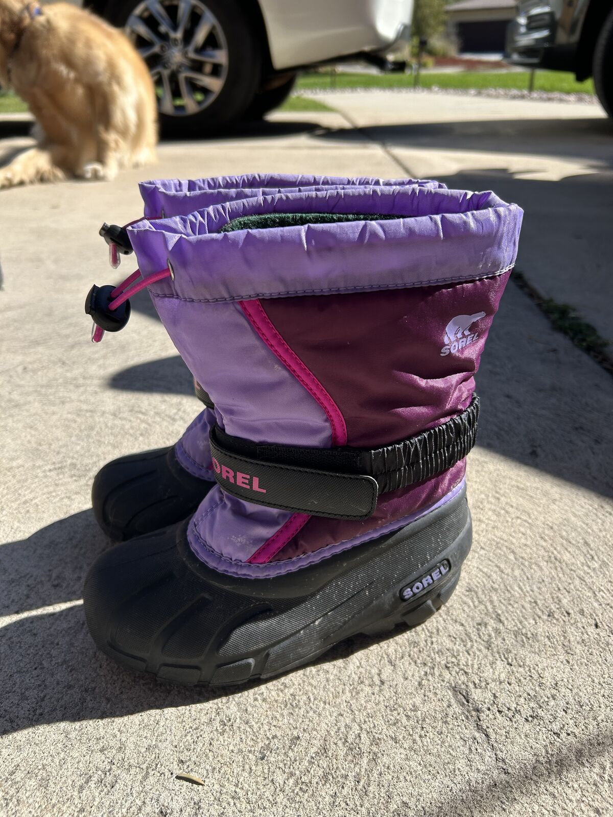 Size 13 Toddler (Kids) Sorel Snow Boots