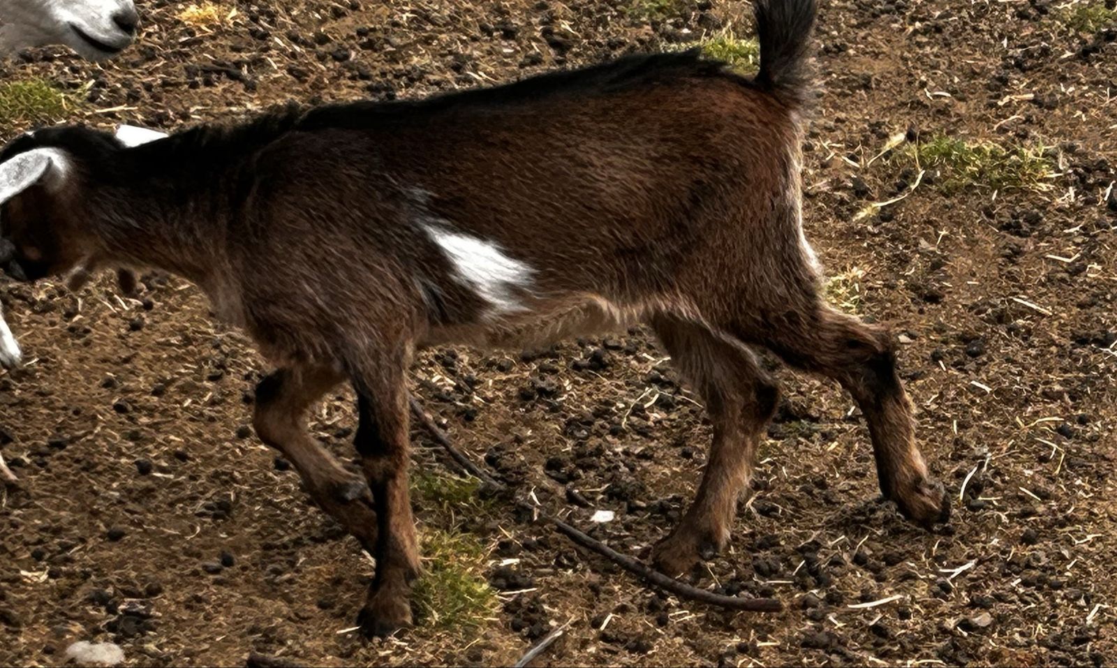 Main image 13