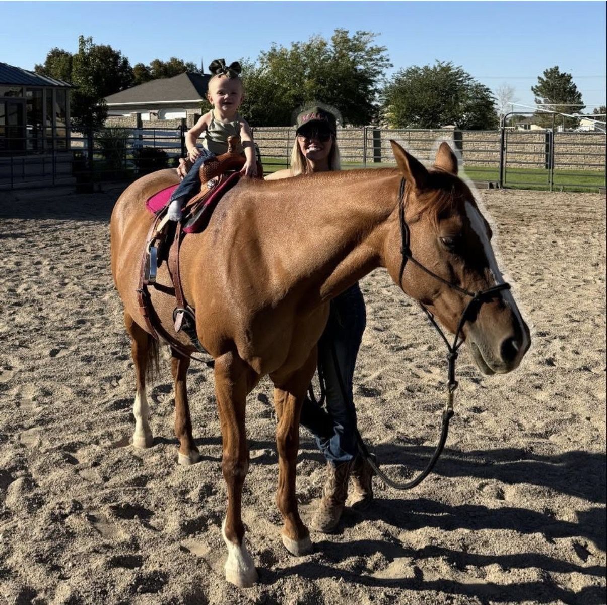 Beginner Kids Horse - FOR LEASE ONLY