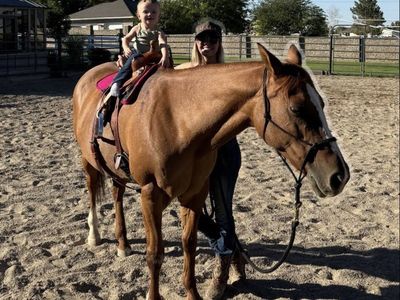 Beginner Kids Horse - FOR LEASE ONLY