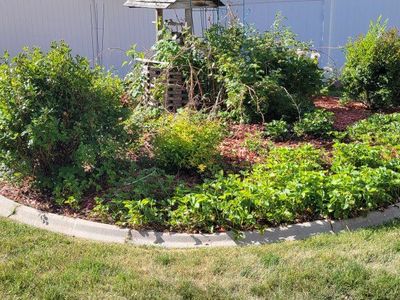 Concrete Lawn Edging/Curb