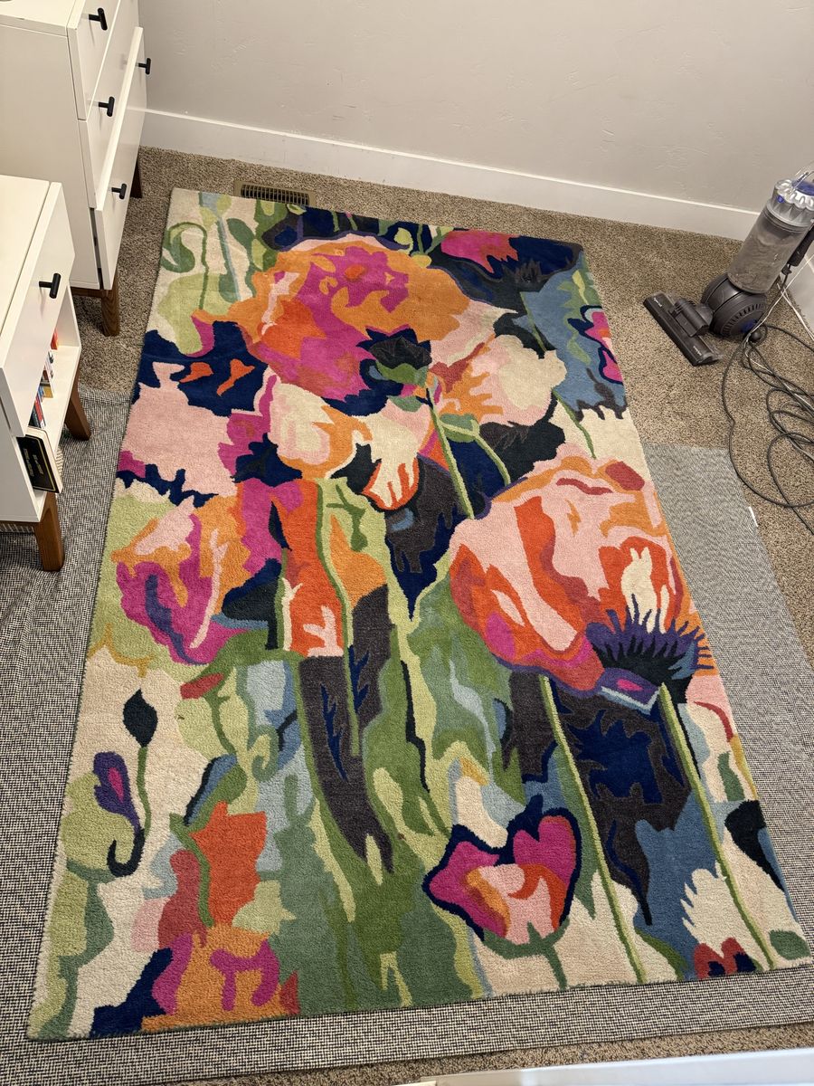 5’ x 8’ Anthropologie abstract rug