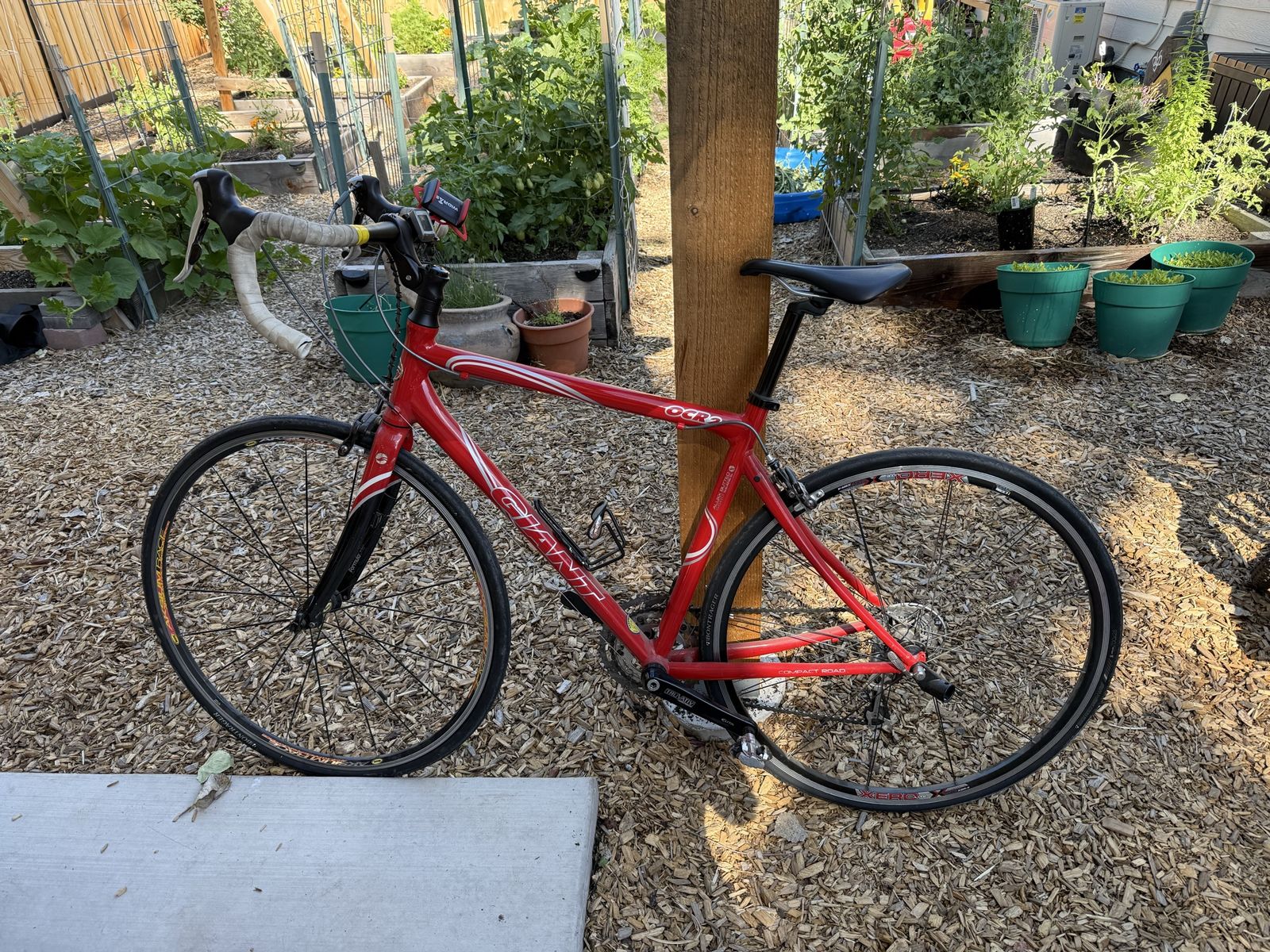 Giant OCR2 Medium frame