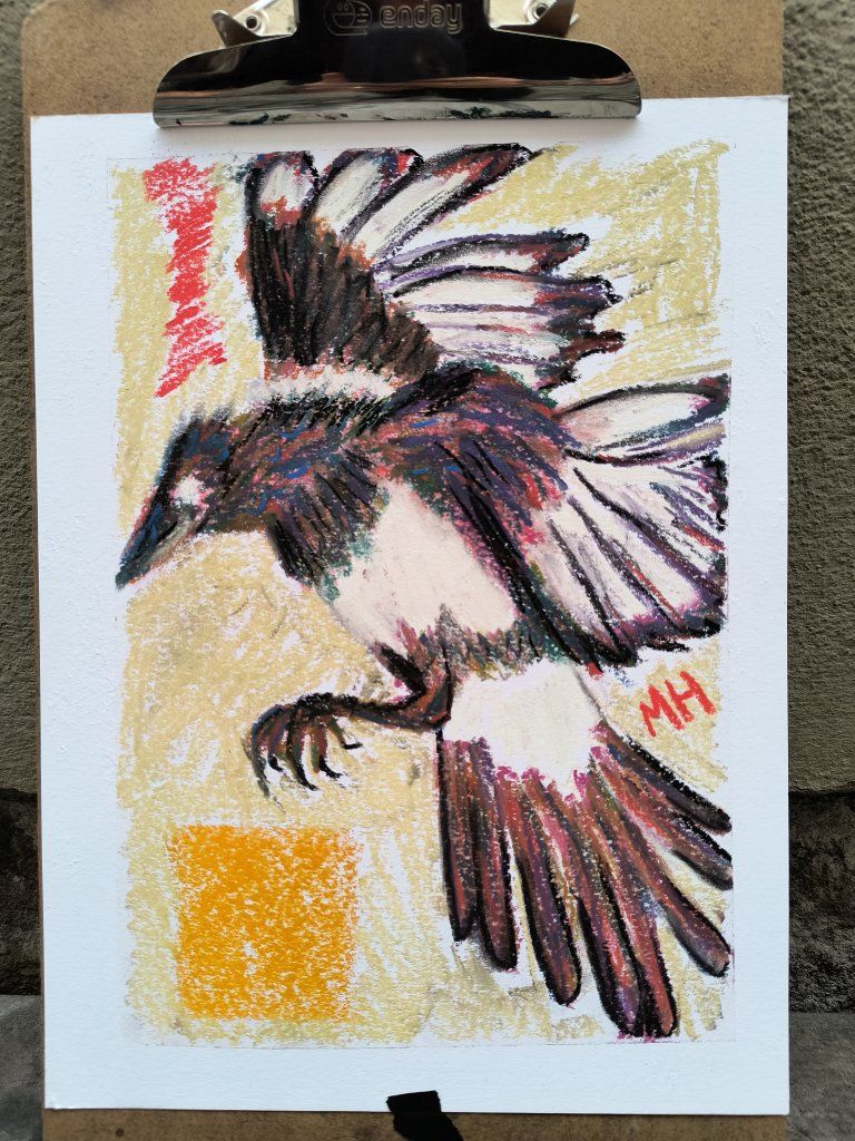 Original Soft Pastel Hand-Drawn Magpie Bird Art Pastel Drawing - Marshall Hiatt / Jackledead Art