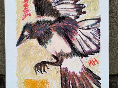 Original Soft Pastel Hand-Drawn Magpie Bird Art Pastel Drawing - Marshall Hiatt / Jackledead Art