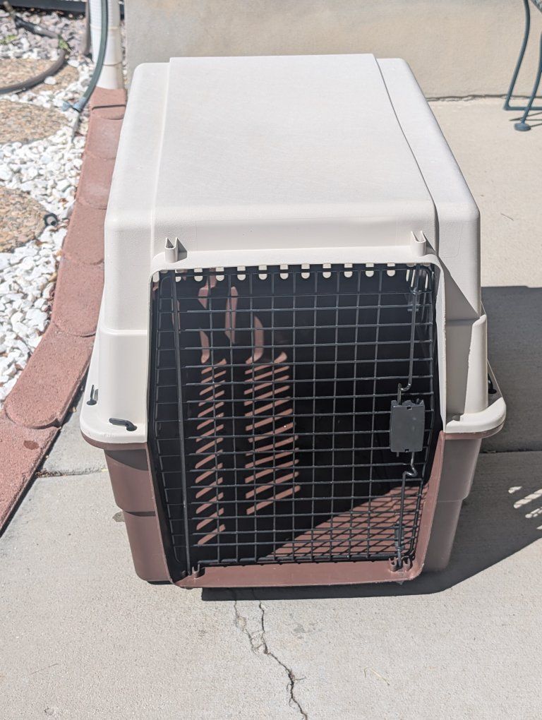 Dog Kennel