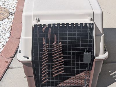 Dog Kennel