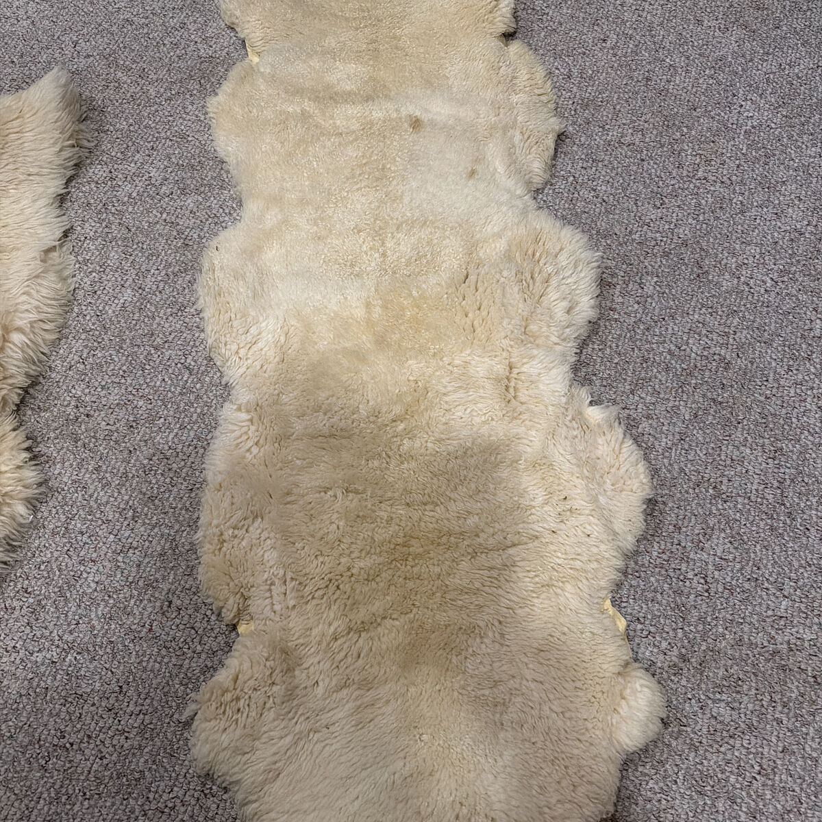 Sheep rug