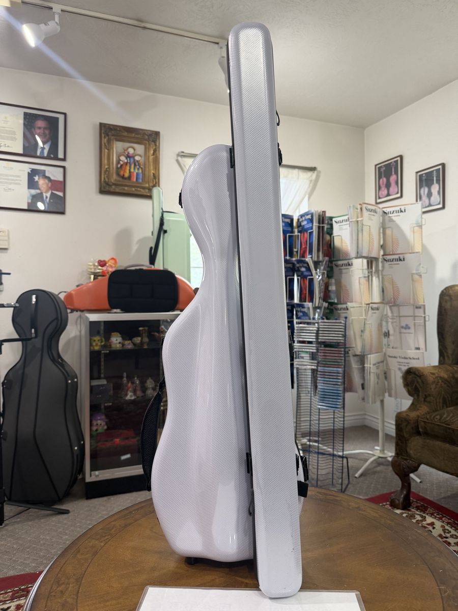 lightweight violin case