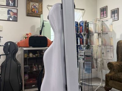 lightweight violin case