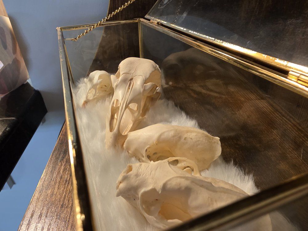 Main image 3
