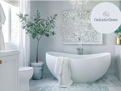 Maid Services | House Cleaning | Move In/Out | Rental & Scheduled Cleaning