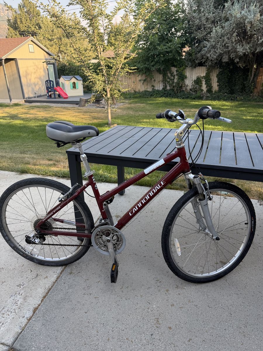 Cannondale Comfort Bicycle – Large Frame