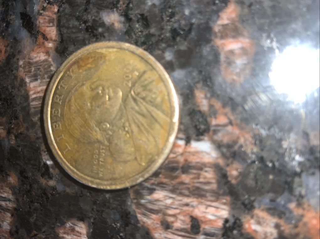 Rare 2001p Sacajawea Dollar Dollar