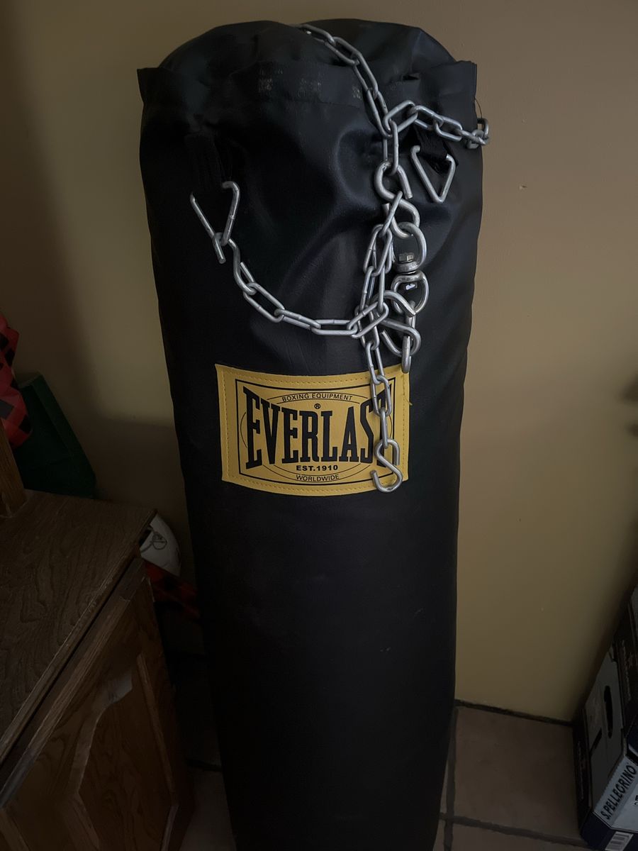 Everlast punching bag