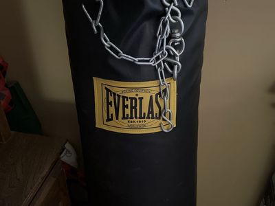 Everlast punching bag